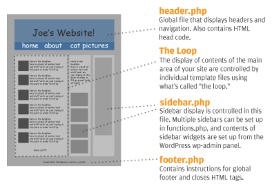 WordPress Theme